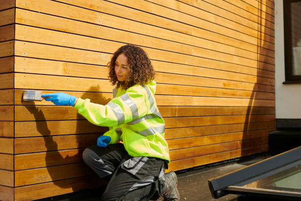 Best Custom Siding Design  in Rio Rancho, NM